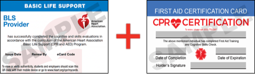 Sample American Heart Association AHA BLS CPR Card Certificaiton and First Aid Certification Card from CPR Certification Fort Lauderdale