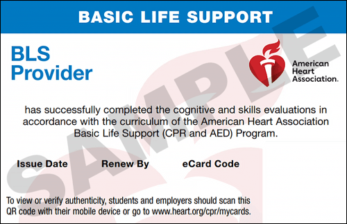 Sample American Heart Association AHA BLS CPR Card Certification from CPR Certification Fort Lauderdale