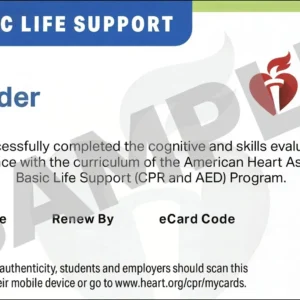 American Heart Association BLS CPR and AED Certification