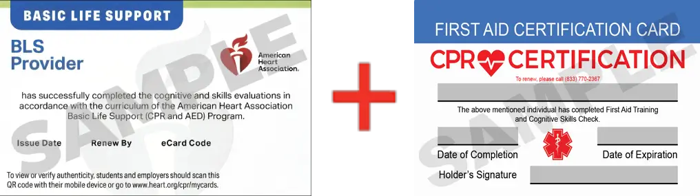 Sample American Heart Association AHA BLS CPR Card Certification and First Aid Certification Card from CPR Certification Fort Lauderdale
